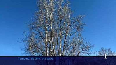 El vent afluixa però deixa danys a les zones més afectades pel pas de la borrasca Oriana