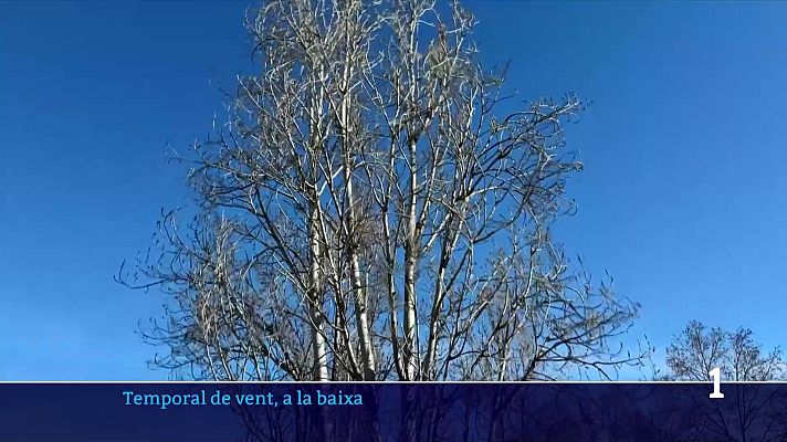 L'Informatiu - El vent afluixa però deixa danys a les zones més afectades pel pas de la borrasca Oriana