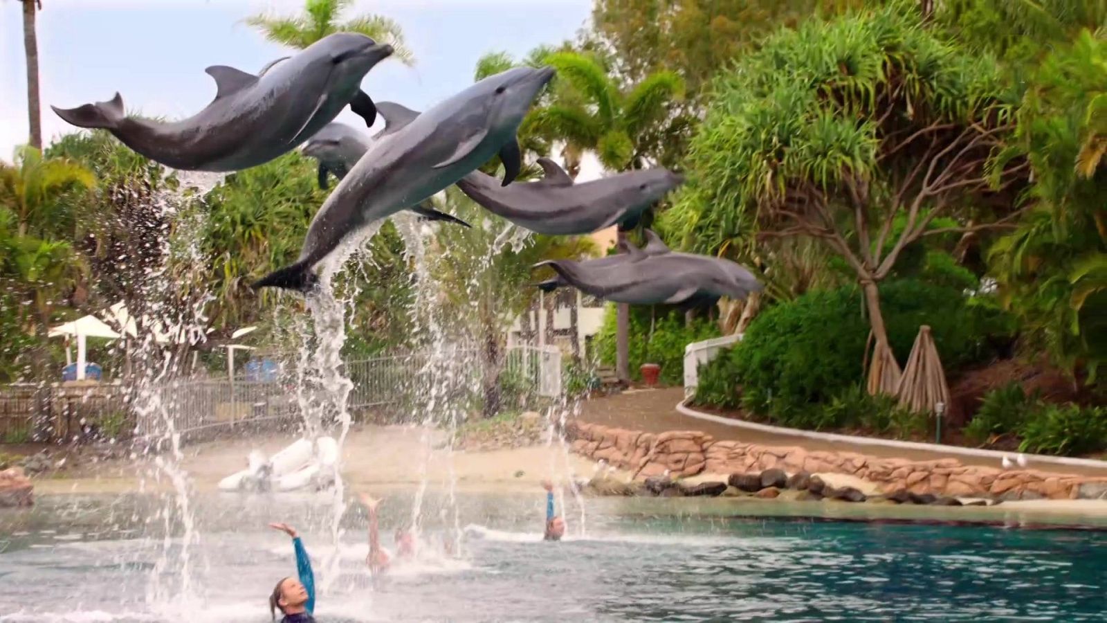 Las sirenas de Mako - De gran tamaño - Las sirenas de Mako | Ver