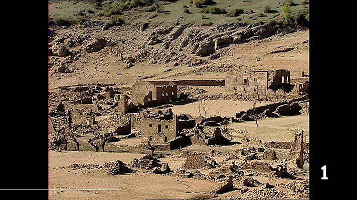 Informativo Telerioja - Informativo Telerioja - 16/02/26