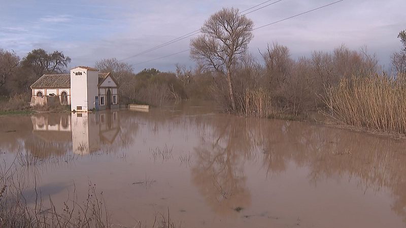 Noticias Aragón - 16/02/26 - Ver ahora