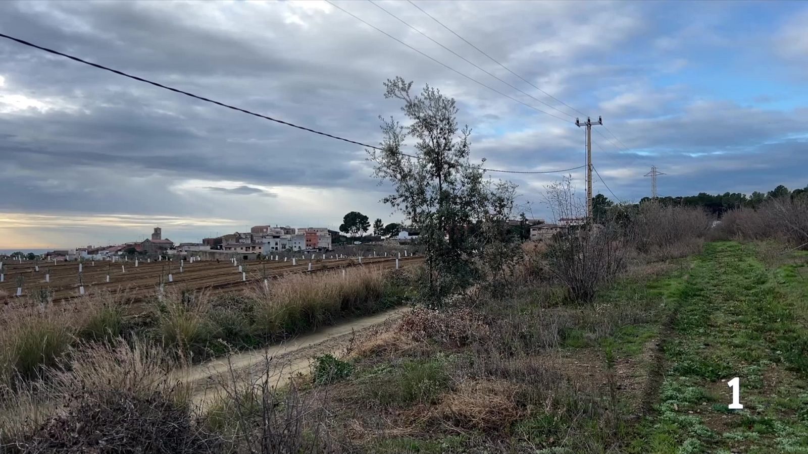 Prop de 3.000 al·legacions contra la MAT Aragó–Tarragona en només dos dies