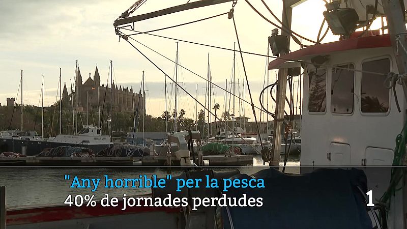 Informatiu Balear en 2' - 17/02/26 | Ver