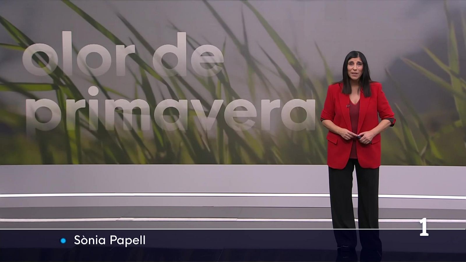 El temps a les Illes Balears - 17/02/26 | Ver