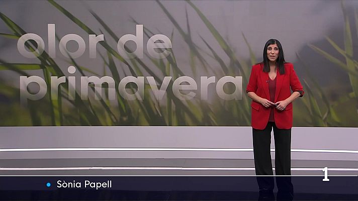 Informatiu Balear - El temps a les Illes Balears - 17/02/26