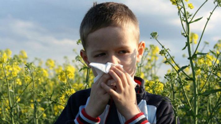 La mañana - El tiempo y las enfermedades