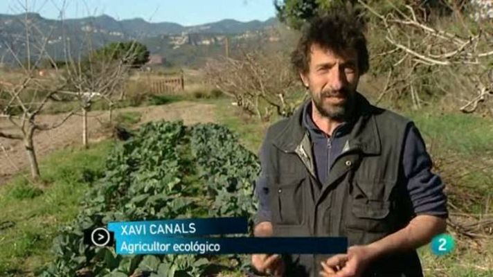 Para todos La 2 - ONG Grain