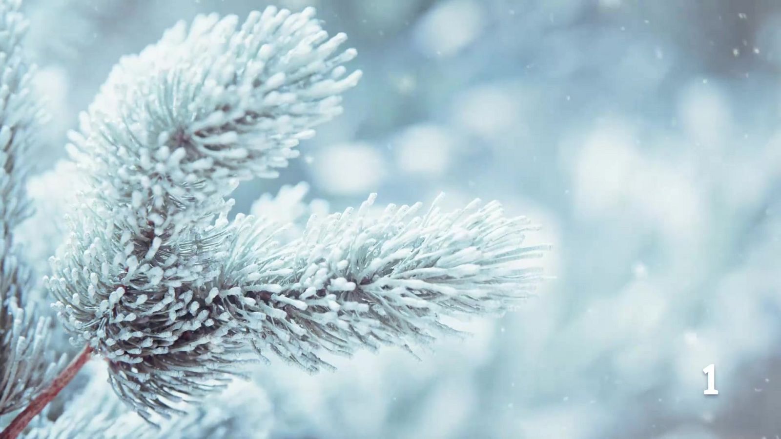 El tiempo en Galicia 16-02-2026 | Ver