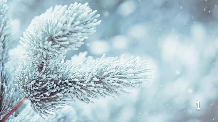 Telexornal - Galicia - El tiempo en Galicia 17-02-2026