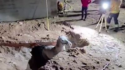 Rescatan a un caballo atrapado en un pozo