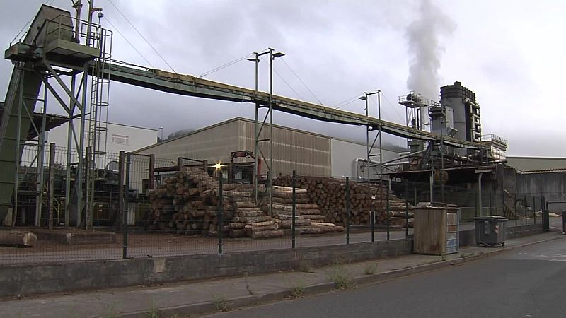 Informativo Telenorte 1 País Vasco - 18/02/2026 | RTVE Play - Ver ahora