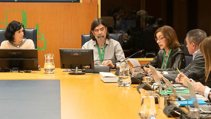 Telenorte - País Vasco - Los padres de Kerman Villate defienden en el Parlamento Vasco que la muerte de su hijo no fue un accidente