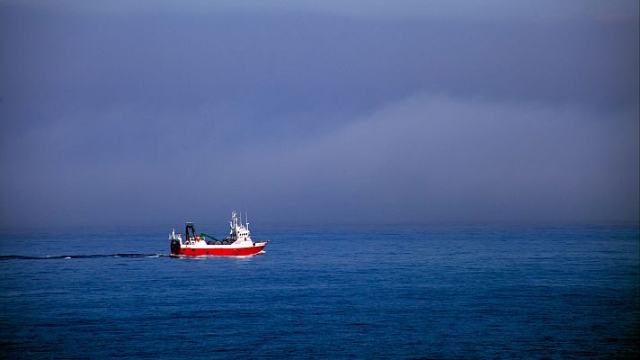 Telediario 1 - Menos marisco y pescado por las borrascas que azotan la costa gallega