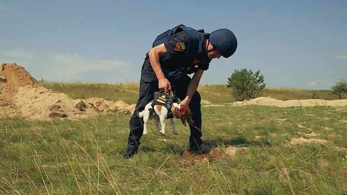 La noche temática - La Noche Temática - Más allá de las bombas