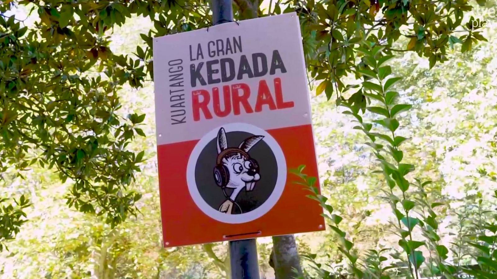 Emprendedores Ashoka 2025: Iván del Caz | Ver