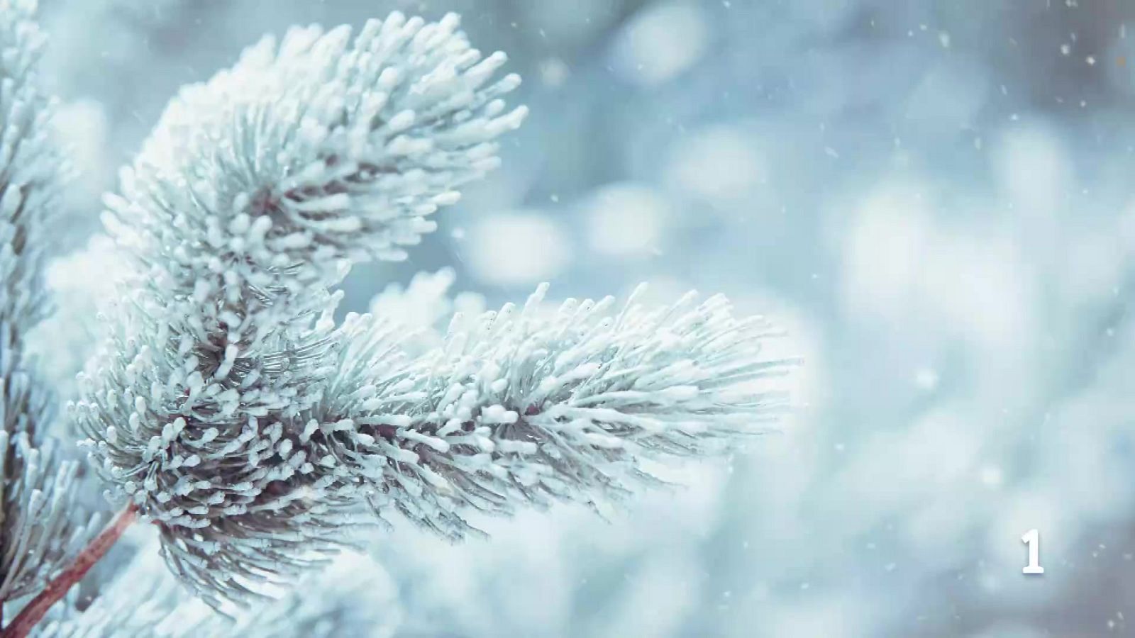 El tiempo en Galicia 18-02-2026 | Ver