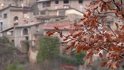 Cabra catalana, pastís de Belém i fruites
