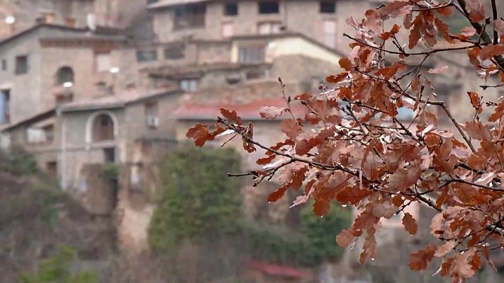 Aquí la Terra - Cabra catalana, pastís de Belém i fruites