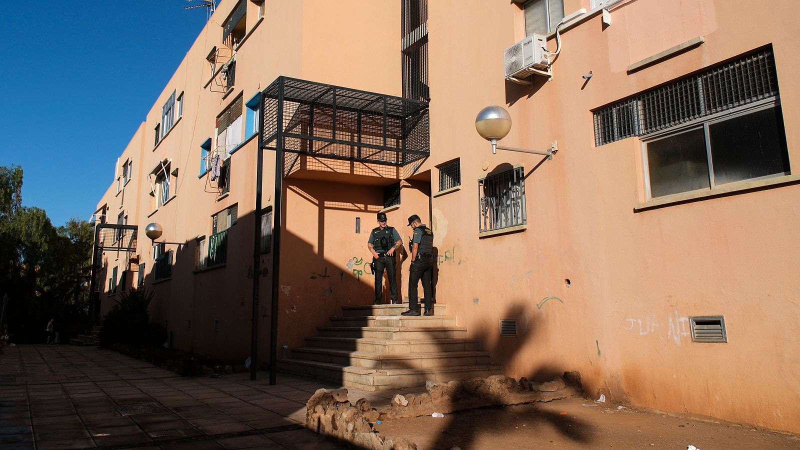 Diario 24 - 20/02/26 - Diario 24 | Ver