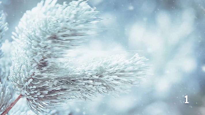 Noticias Murcia - El Tiempo en la Región de Murcia  20/02/2026