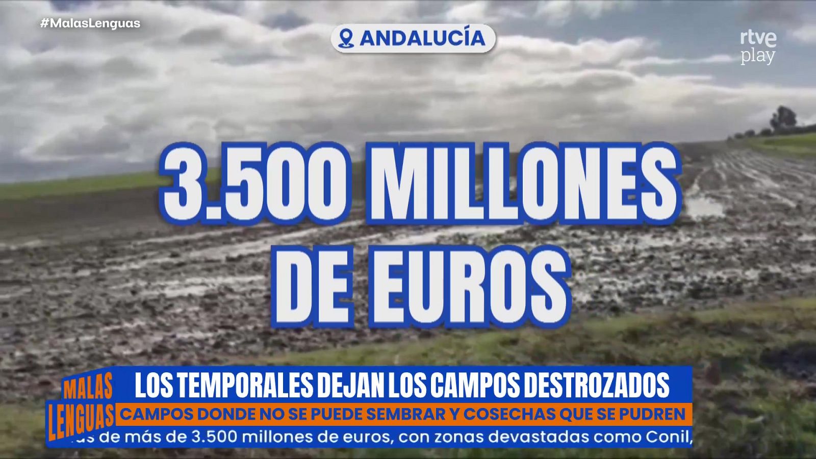 El enorme destrozo que suponen los temporales - Malas lenguas | Ver