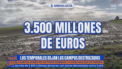 El enorme destrozo que suponen los temporales