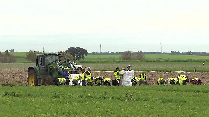 Agrosfera - Agrosfera - 21/02/26