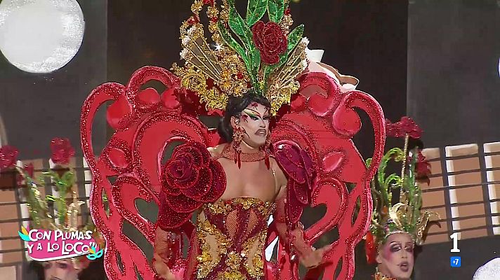 Carnaval de Canarias - Con Plumas y a lo loco - 21/02/2026