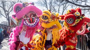 A�o Nuevo Chino 2026: las im�genes del gran desfile de Madrid