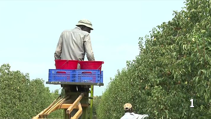 L'Informatiu - Catalunya bat un rècord en exportacions agroalimentàries