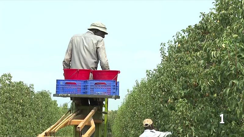 Catalunya bat un rècord en exportacions agroalimentàries