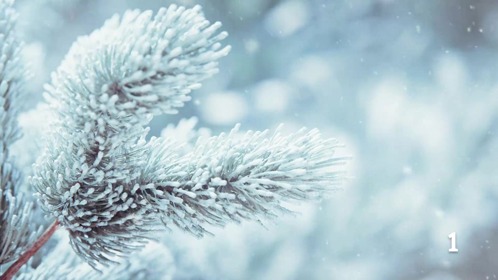 El Tiempo en la Región de Murcia - 23/02/2026 | Ver