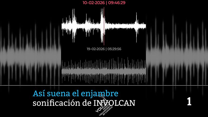 Telecanarias - 24/02/2026 | Ver