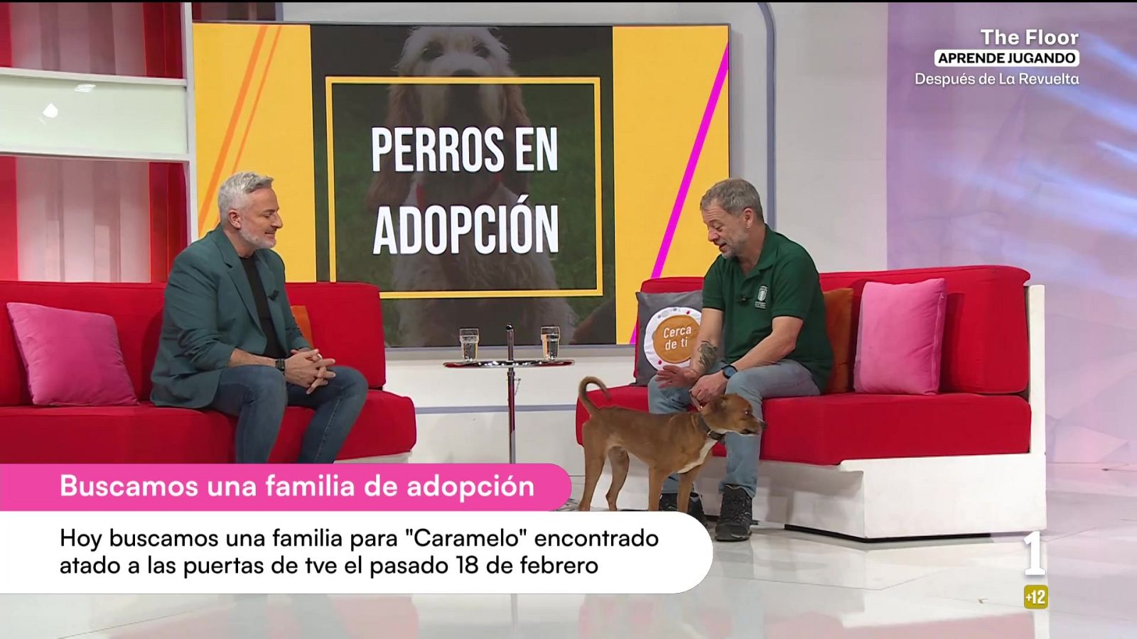 Cerca de ti - 24/02/2026 - Cerca de ti | Ver