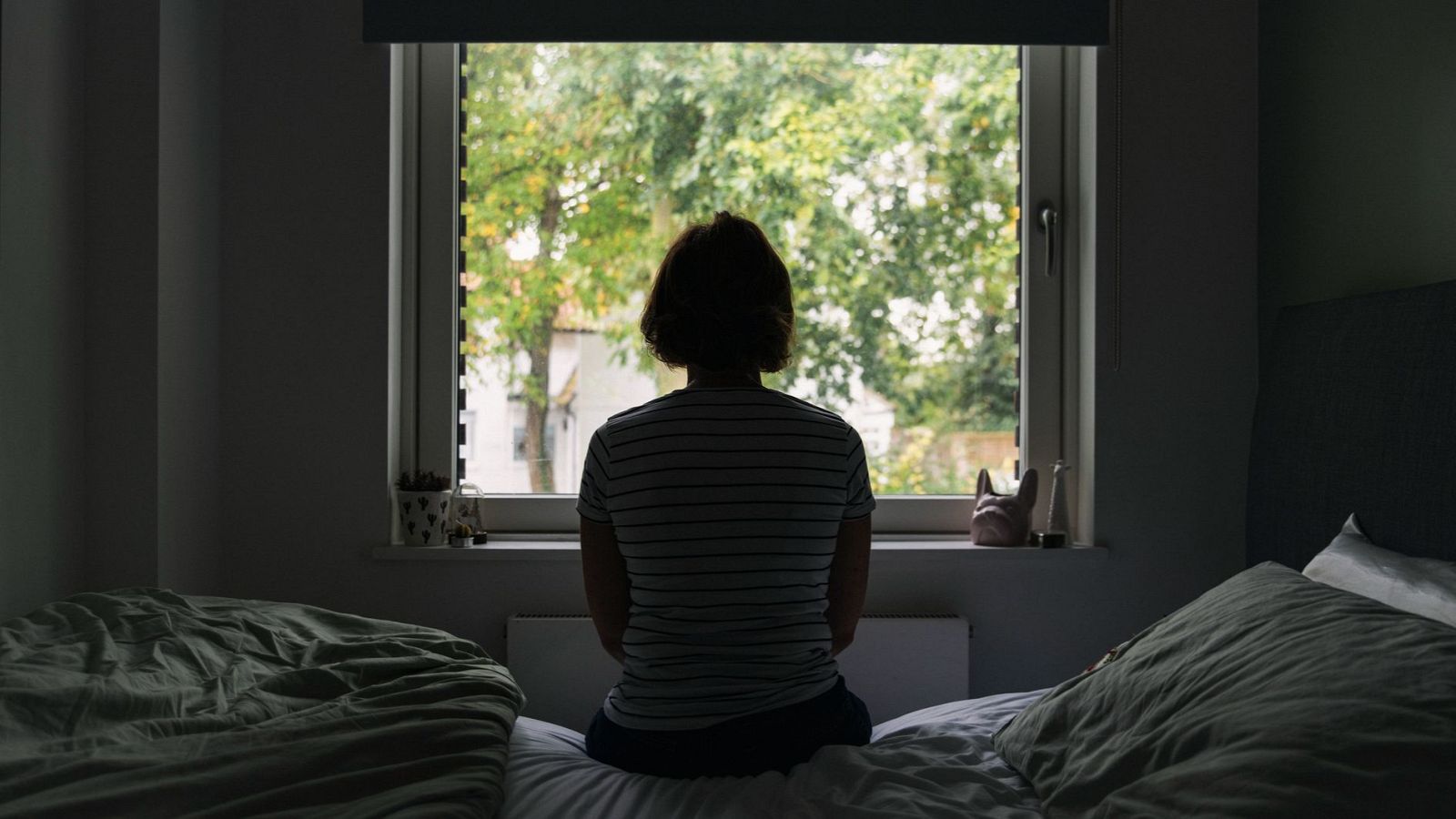 El Gobierno aprueba un plan contra la soledad no deseada - Telediario 1 | Ver