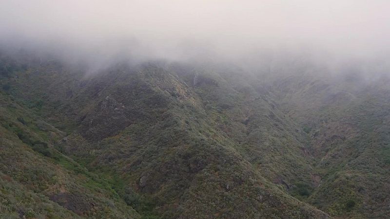 Tenerife i Gran Canaria - Turisme rural al m�n - Turisme Rural al M�n | Veure documental