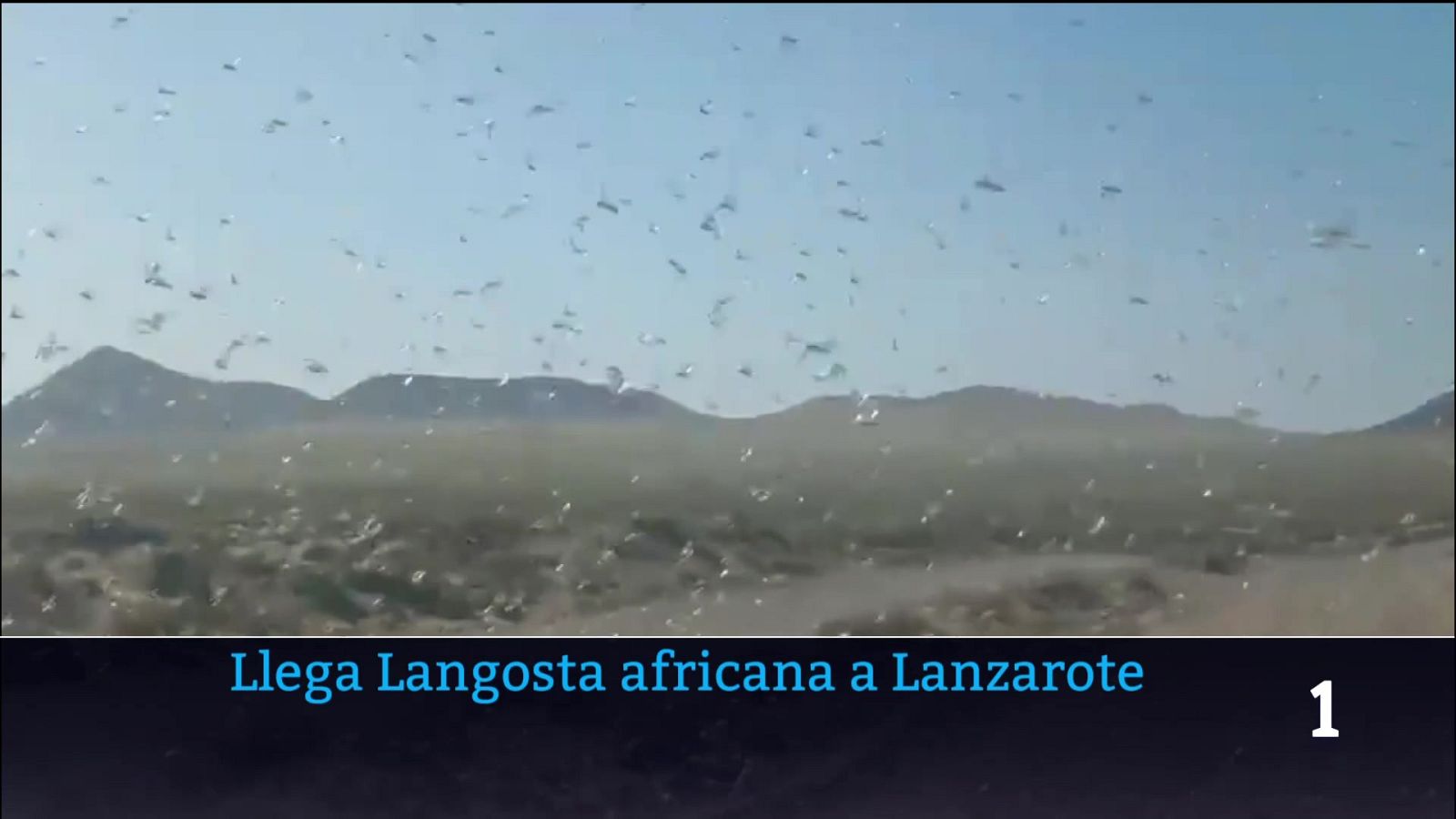 Telecanarias - 25/02/2026 | Ver