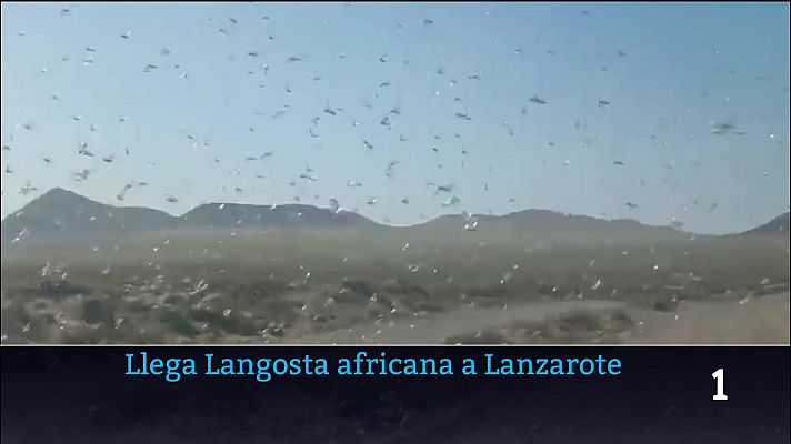 Telecanarias - Telecanarias - 25/02/2026