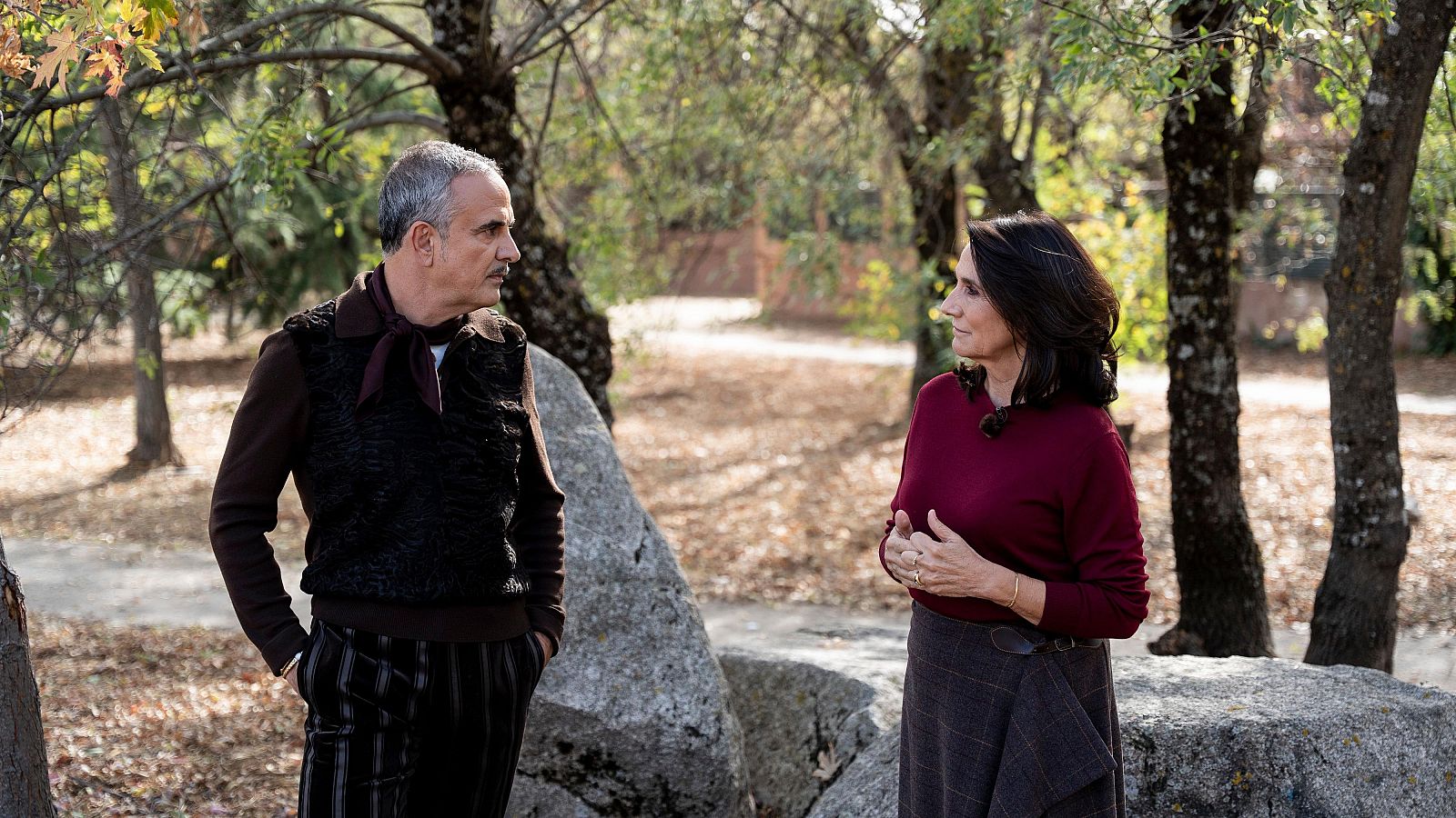 Qué colores usar en hostelería: los tonos cálidos que atraen y fidelizan a los clientes - Decomasters | Ver