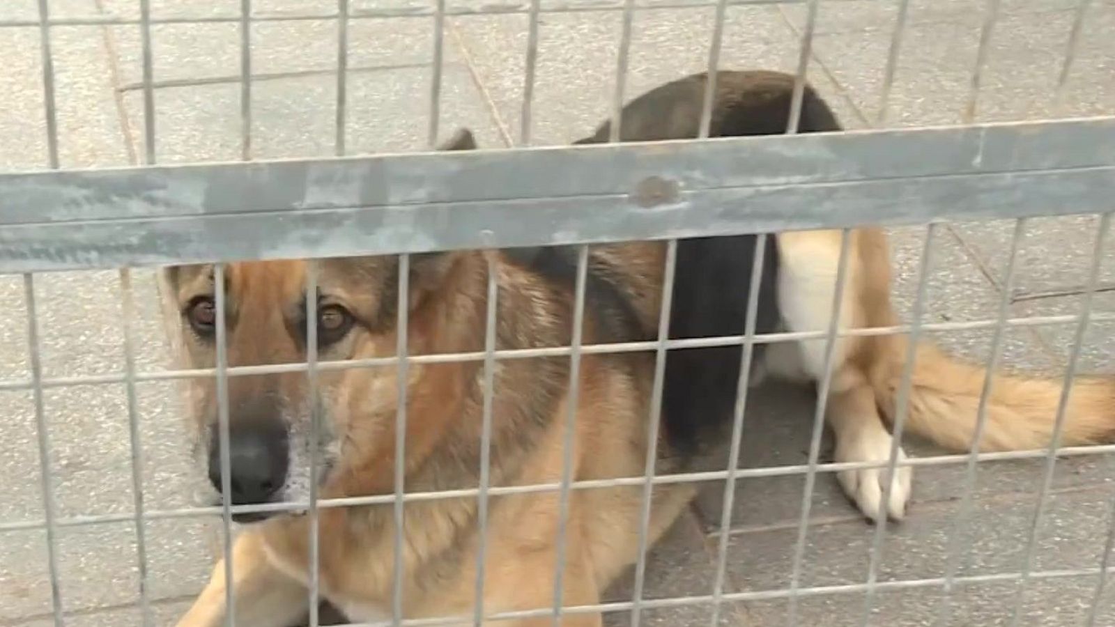 La Noticia de Melilla - 25/02/2026 | Ver