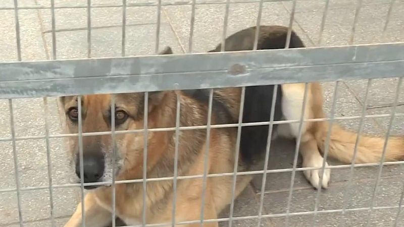 La Noticia de Melilla - 25/02/2026 | Ver