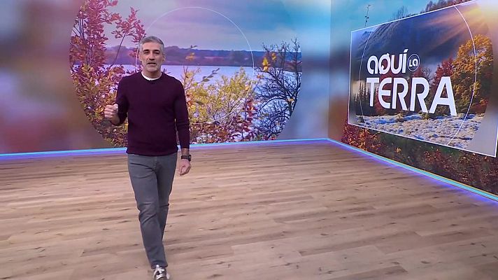 Aquí la Terra - Porros, Presentits, mercat de Terrassa