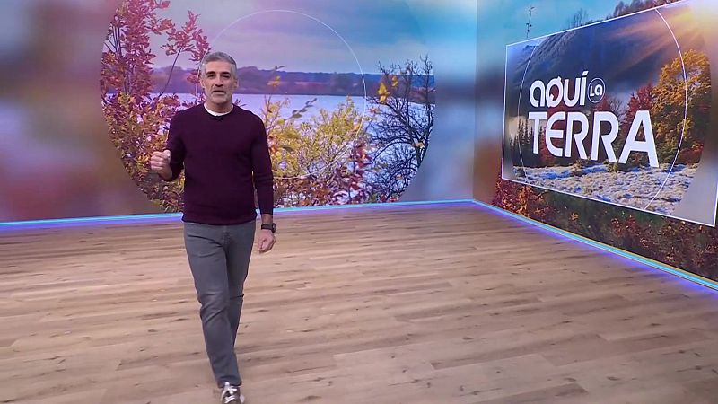 Porros, Presentits, mercat Terrassa - Aqu� la Terra - Aqu� la Terra | Veure