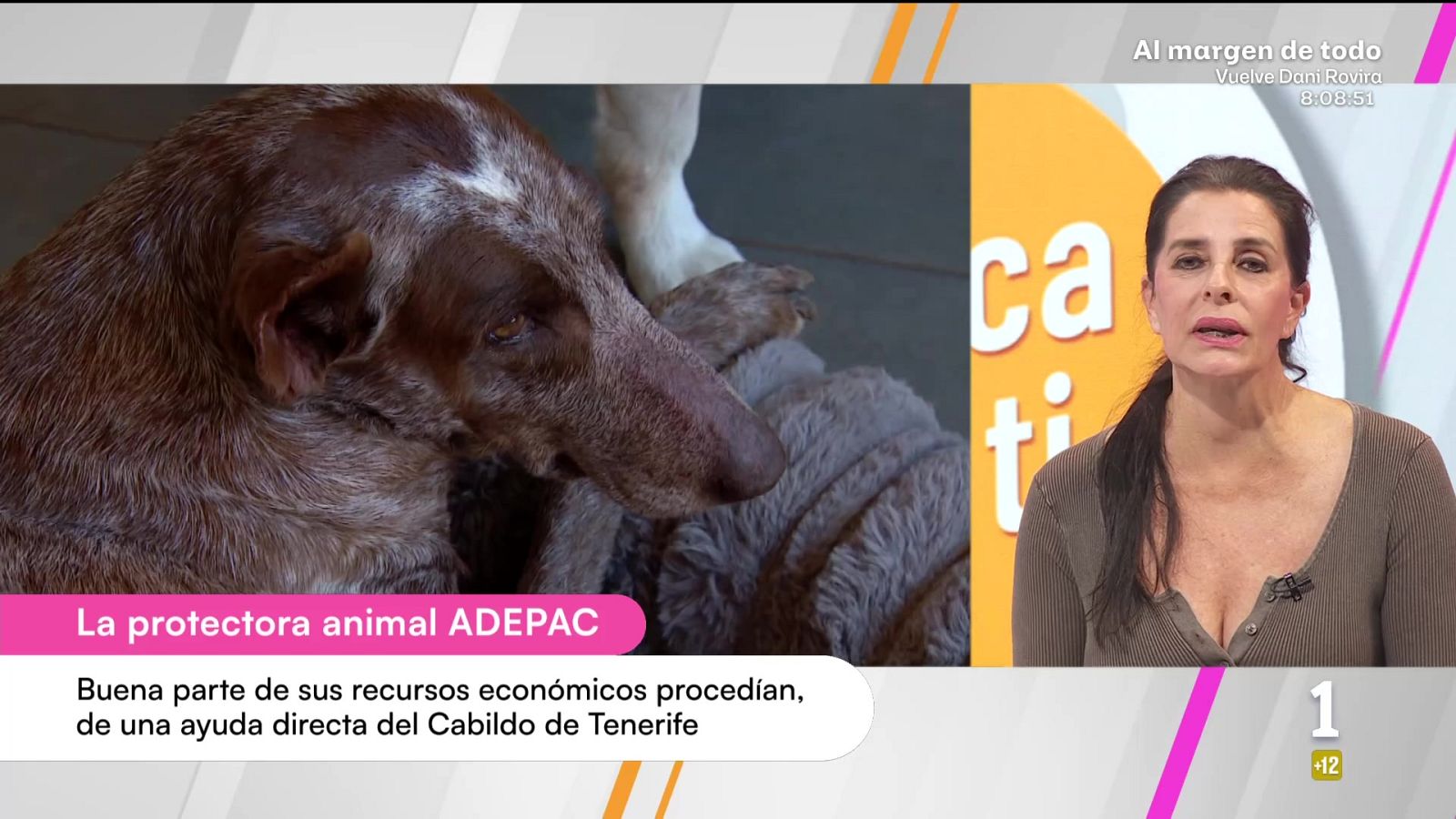 Cerca de ti - 26/02/2026 - Cerca de ti | Ver