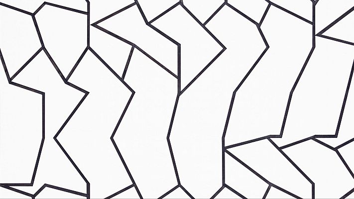 Telenorte - País Vasco - La sala Kubo del Kursaal acoge el cibernético de Elena Asins