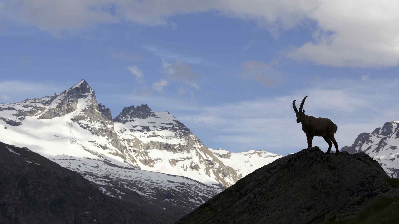 Somos documentales - El tiempo de una vida - Somos Documentales | Ver documental