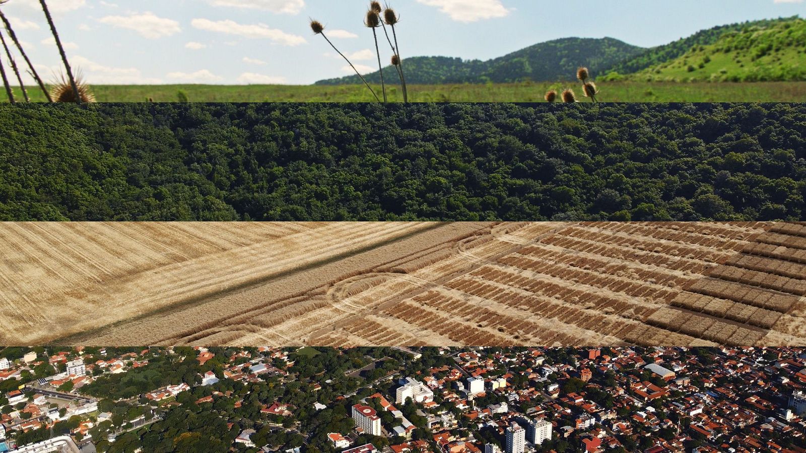 La noche temática - ¿A quién pertenece la tierra? - La noche temática | Ver documental