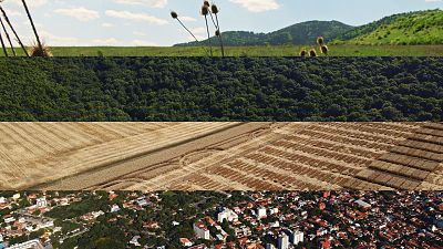¿A quién pertenece la tierra?