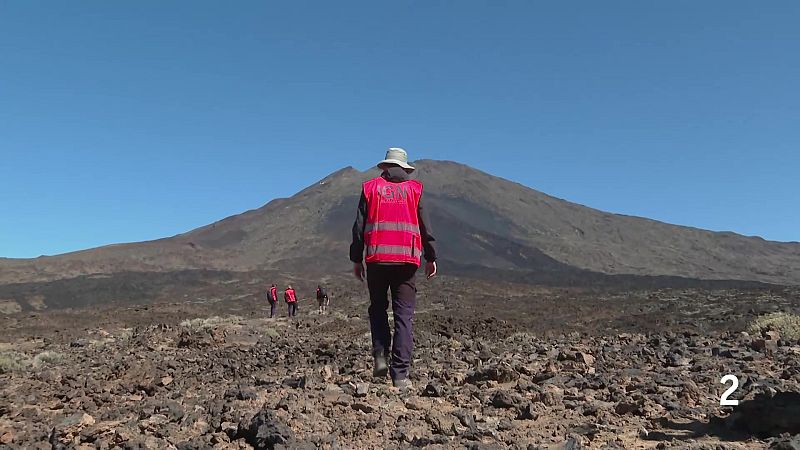 Telecanarias Tarde - 26/02/2026 | Ver