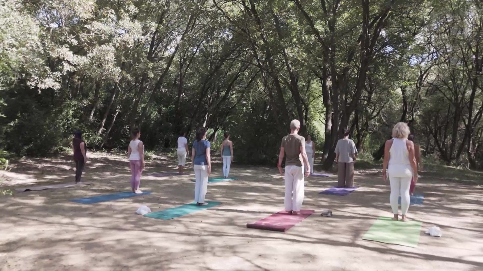 Universo UNED - 27/02/26 - Universo UNED | Ver